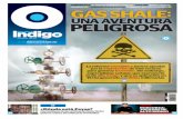 Reporte Indigo: GAS SHALE UNA AVENTURA PELIGROSA 10 Abril 2013