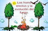 Los homo erectus y la evolucion del fuego