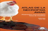 Atlas de la necropsia aviar