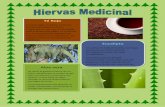 Revista Hiervas medicinales