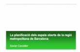 La planificació dels espais oberts de la regió metropolitana de Barcelona, Xavier Carceller