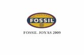 Fossil Jewelry