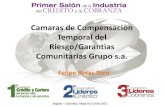 Felipe Rojas_Garantias Comunitarias
