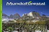 Revista MUndo Forestal Nº18