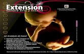 Revista Extensión Universidad Austral de Chile. Nº 8 Año 4 Edición Agosto 2012