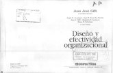 Diseño y efectividad organizacional jose gilli