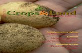 Crops & Land - Edición 6, Junio-Julio 2012.