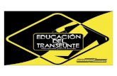 Educación Del Transeúnte: Orientación para el docente