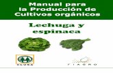Manual Produccion lechuca y Espinaca Organic