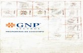 Propuesta de diseño GNP
