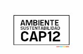 Ambiente CAP12