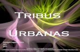 Presentacion  tribus urbanas 2