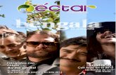 Revista Néctar Publicacion Febrero 2013 No. 2