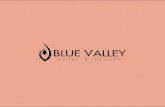 Blue Valley - Identidad corporativa