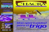Revista Chacra Nº 930 - Mayo 2008