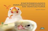 Enfermedades  inmunosupresoras en avicultura