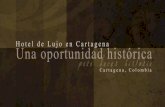Brochure Cartagena 2013
