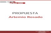Curriculum Profesional- Artemio Rosado