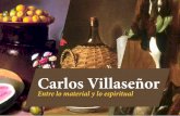 Catálogo Carlos Villaseñor