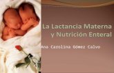 La Lactancia Materna y Nutrición Enteral final