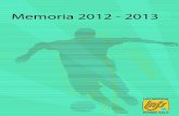 Memoria LNFS 2012/2013