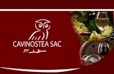 CAVINOSTEA SAC- Vinos Franceses