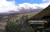 Chimborazo La Grandeza Natural