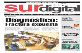 Diario Sur Digital