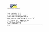 Informe de Caracterización Socieconómica de la Región de Arica y Parinacota 2012