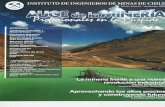Auge de la Minería - Edición Especial 2008