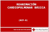 RCP Básica y DESA - ERC 2005