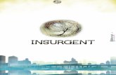 Saga insurgent 02