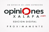 Opiniones Xalapa Digital