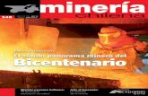 El sólido panorama minero del bicentenario
