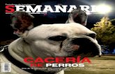 Semanario Coahuila: Cacería de perros