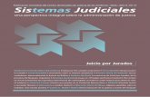 Sistemas Judiciales Nº17