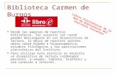 Libros electrónicos de la Biblioteca Carmen de Burgos