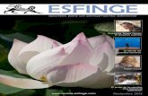 Revista Esfinge | Noviembre 2012