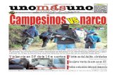 13 enero 2013 Campesinos vs narco
