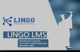 Lingo School