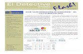Revista Flash APDPE nº 9 - Febrero 2010