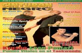 Revista artes marciales cinturon negro enero 2014