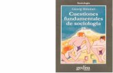 Cuestiones fundamentales de sociologia de George Simmel