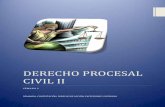 DERECHO PROCESAL CIVIL II
