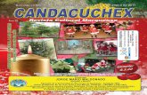 Revista Candacuchex Diciembre 2012