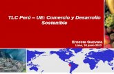 TLC Perú - UE: Comercio y Desarrollo Sostenible