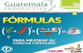 Fórmulas para mejorar su cosecha cafetalera. Guatemala Productiva, Edición 8