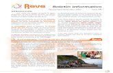 Boletín REVE 14 | Noviembre - Diciembre 2012