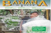 Banana Export, Edición 41, Noviembre 2013