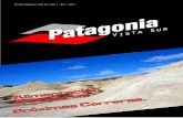 Patagonia vista Sur - 01